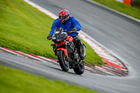 PJ-Motorsport-2019;anglesey;brands-hatch;cadwell-park;croft;donington-park;enduro-digital-images;event-digital-images;eventdigitalimages;mallory;no-limits;oulton-park;peter-wileman-photography;racing-digital-images;silverstone;snetterton;trackday-digital-images;trackday-photos;vmcc-banbury-run;welsh-2-day-enduro